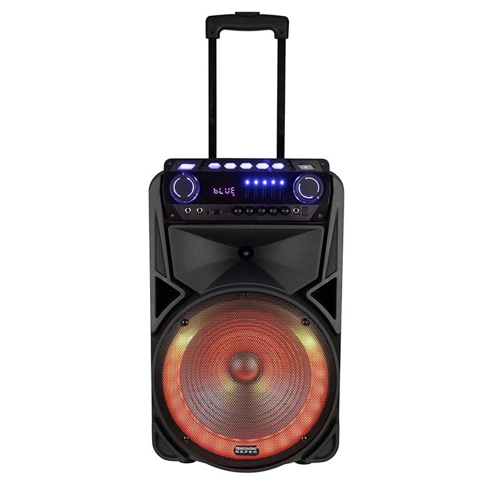 Bluetooth-колонка Temeisheng TMS-012 12"  ⁇  Переносна колонка з радіомікрофонами  ⁇  Колонка-валіза