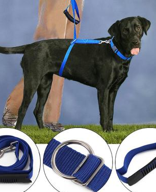 Повідець для собак The Instant Trainer leash понад 30 кг, Шлейка для великих собак, фото 1