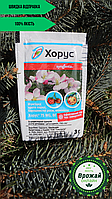 Хорус 3 г Фунгіцид для винограду, плодових дерев, полуниці, газону (Оригінал)