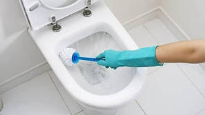 Для чищення унітазу