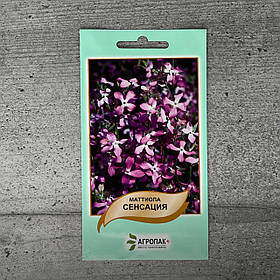 Маттіола дворога Сенсація 0,5 г насіння пакетоване Агропак