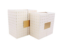 Комплект подарункових коробок  W5420 22*12.5 см (2 шт)