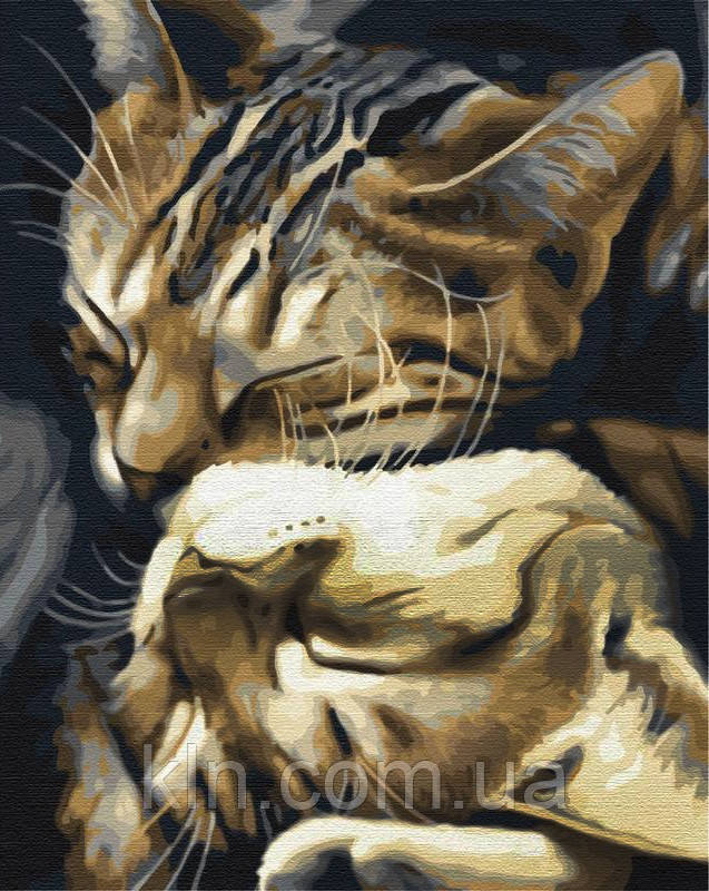 Алмазна мозаїка на підрамнику Котики-муркотуни 50 х 40 см (арт. TN1172), фото 1