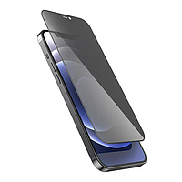 Захисне скло Fiji Privacy для Apple Iphone 12 Pro антишпигун Anti-peeping Full Glue чорний 0,26 мм
