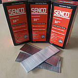 Цвяхи штіфти для цвяхозабивача пневмостеплера 38 мм SENCO АХ планкові фінішні оцинковані, фото 4