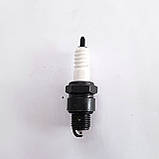 Свічка запалювання бензопили Урал, Дружба, фото 2