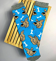 Шкарпетки жіночі високі 1 пара "Скубі-Ду" блакитні 36-41 р