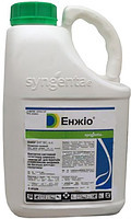 Енжіо, Syngenta