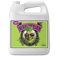 Advanced Nutrients Big Bud усилитель цветения 4 л