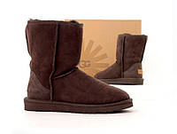 Угги женские UGG Classic Short Brown