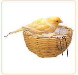 Плетене гніздо для птахів.11*6 див. PA 4454., фото 2