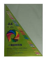 Папір кольоровий Romus A4 160 г/м2 100 аркушів Світло-зелений (R50645)