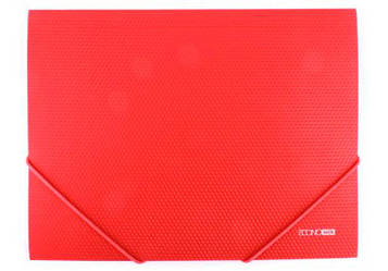 Папка на гумках Economix A4 Червона (E31601-03)