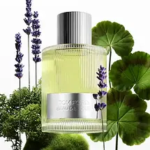 Tom Ford Beau De Jour Eau De Parfum 2020 парфумована вода 100 ml. (Том Форд Беау Де Жур 2020), фото 5