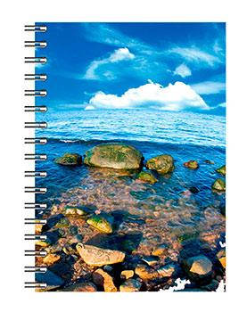 Блокнот Romus A6 48 аркушів у клітинку бокова спіраль (R44361)