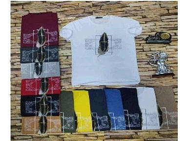 Футболка р.L Білий чоловіча з малюнком арт. 061022 мікс ТМ ОптТурко