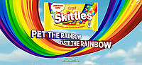 Жевательные конфеты «Skittles» 38 г. 14 шт.