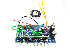 Плата металошукача CLONE PI-W у зборі