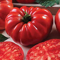 Американський ребристий насіння томату 0,1 г