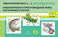 Книга Картотека предметних картинок. Випуск  10. 3-7 років. Акваріумні й прісноводні риби. Комахи й павуки