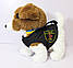 Собака в жилетці на повідку, м'яка інтерактивна іграшка 26 см, "Патрон" PL82302, фото 9
