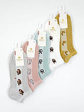 Жіночі короткі літні шкарпетки CRISTAL сітка, бавовна, розмір 37-41, 10 пар/уп асорті кольорів