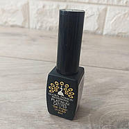 Гель-лак для манікюру Котяче око Global Fashion Cat's eye Platinum 25 8 мл (KG-7328), фото 2