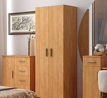Шафа для одягу і речей IdealMebel Шафа-1, шафа розпашна з вішалкою, шафа у спальню, вітальню, передпокій