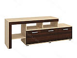 Тумба під телевізор IdealMebel Прадо, тумба-комод під телевізор з нішами, тумба під телевізор у вітальню., фото 4