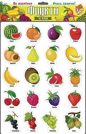 Гра магнітна Фрукти Остапенко, Фрукті, фото 1