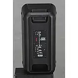 Акустическая система HS-TD0699 (6.5"х2) (30W) (Проводной микрофон) (2400mAh) (Пульт), фото 3