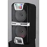 Акустическая система HS-TD0699 (6.5"х2) (30W) (Проводной микрофон) (2400mAh) (Пульт), фото 2