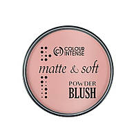 Colour Intense Румяна для лица MATTE&SOFT 10 г (01 натуральный)