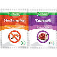 Інсектицид Антигусинь, 4 мл + Самшит, 3 мл