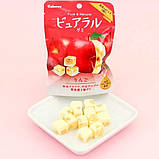 Японський жувальний мармелад Kabaya Pureral Gummy Candy Apple 45g, фото 3