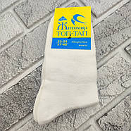 Шкарпетки жіночі середні літо сітка молочні р.23-25 (37-40) ТОП-ТАП lycra 30037581, фото 3