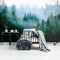 Флізелінові фото шпалери пейзаж 368 x 254 см Природа - Ліс в тумані в холодних тонах (13757V8)+клей