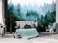 Флизелиновые фото обои пейзаж 368 x 280 см Природа - Лес в тумане в холодных тонах (13757V10)+клей