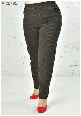 Жіночі штани великих розмірів 50-80 чорний