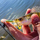 Freek Slim 3" (74 мм) 7 шт. Силікон Select col. 045, фото 5