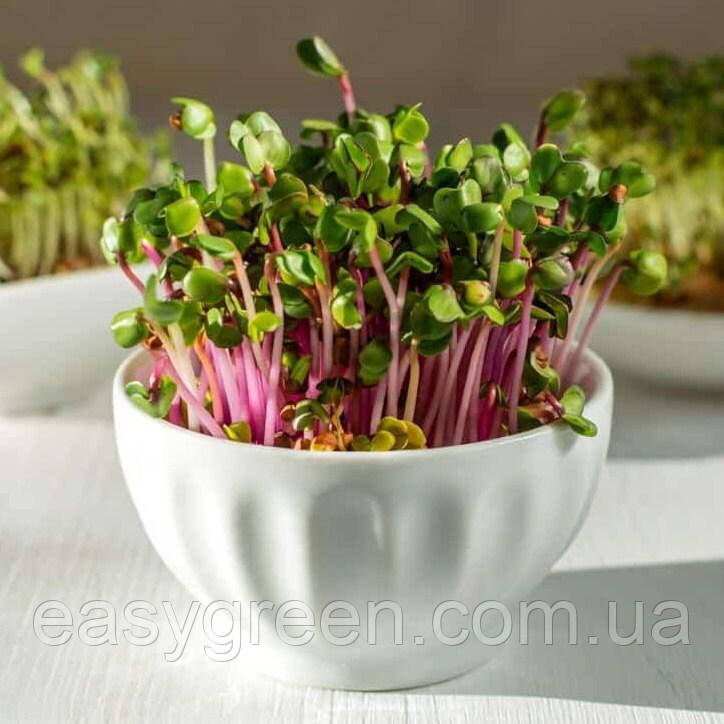Мікрозелень РЕДИСУ пророщений редис Sadove 25 г, фото 1