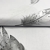 Бязь Gold бавовняна "Сіре пір'я в крапку на світло-сірому" 220см, фото 4