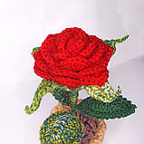 Декоративна квітка "Червона троянда" - "Червона троянда в горщику - мікс", фото 6