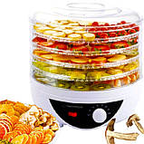 Сушарка, дегідратор для фруктів та овочів Esperanza EKD002 (250 Вт, напівавтоматична, 5 секцій), фото 3