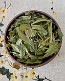 Конвалія лист 500 г, фото 2
