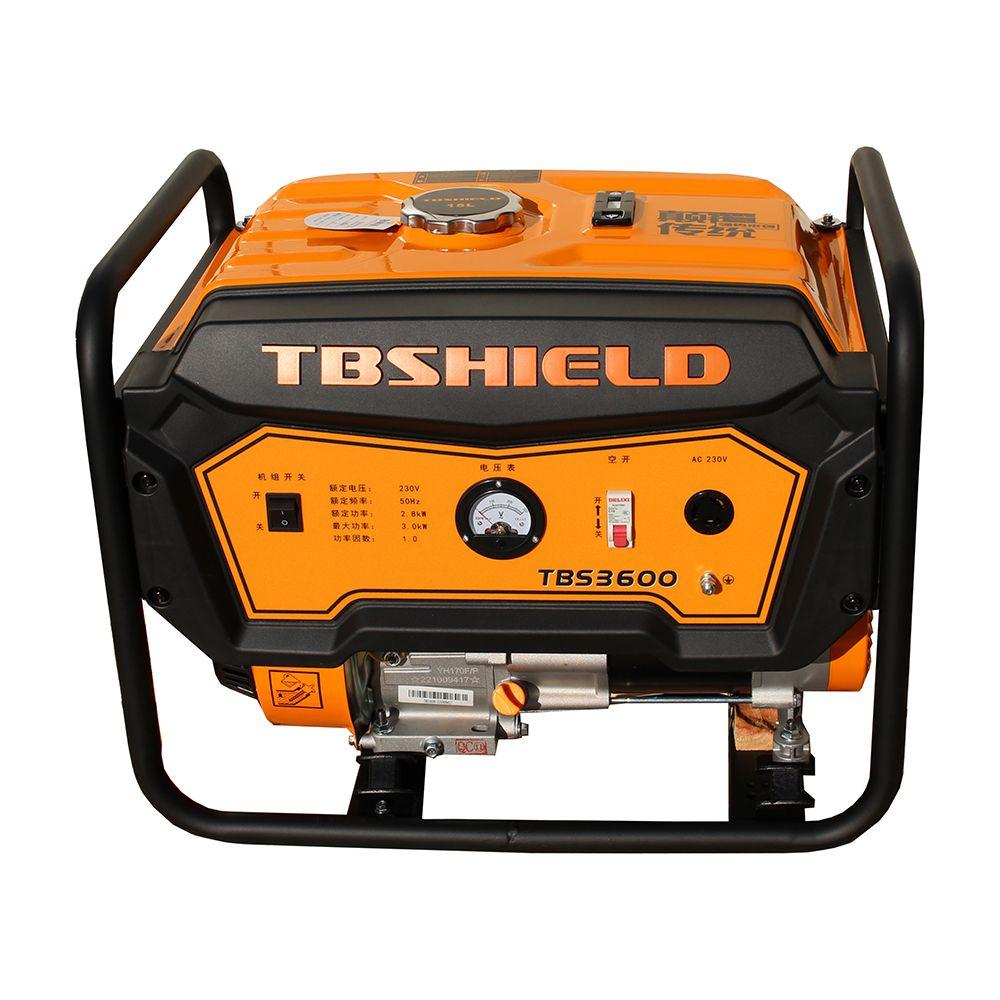Бензиновий генератор EF Power TBS3600, фото 1