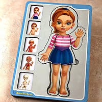 СОРТЕР-ПАЗЛ "АНАТОМІЯ ЛЮДИНИ – ДІВЧИНКА"