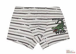 ОПТОМ Труси боксери "Alligator" для хлопчика 10-11 років (10-11 років) Donella 8697840776299