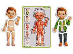 СОРТЕР-ПАЗЛ "АНАТОМІЯ ЛЮДИНИ – ХЛОПЧИК"