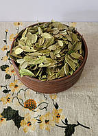 Листя брусниці 1 кг